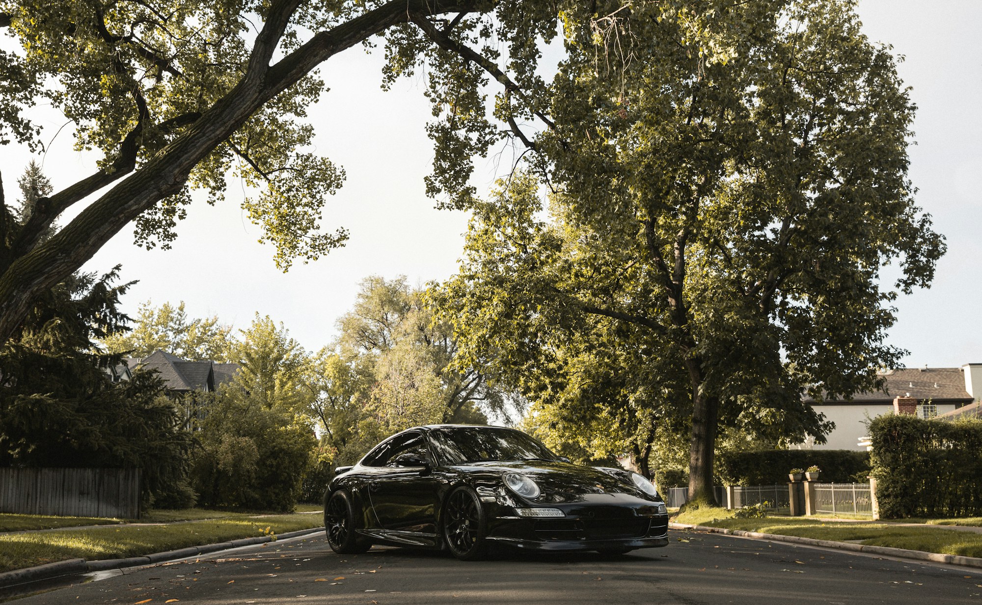 Black car parked on a tree-lined street